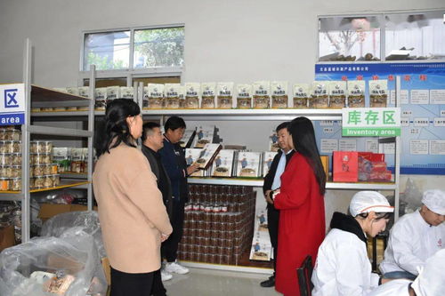 文縣電商中心負(fù)責(zé)人深入一線，檢查指導(dǎo)電商協(xié)會(huì)及企業(yè)運(yùn)營(yíng)，力促農(nóng)副產(chǎn)品銷售再上新臺(tái)階